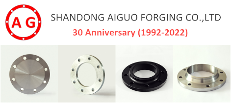 AG Flange - 30 वर्धापन दिन कार्निवल प्रमोशन!